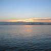 IMG_0585